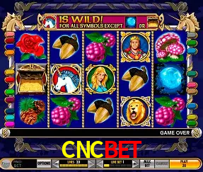 Live Casino CNCBET