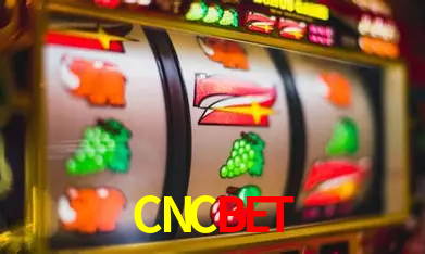 A Experiência Imersiva dos Cassinos Ao Vivo no CNCBET
