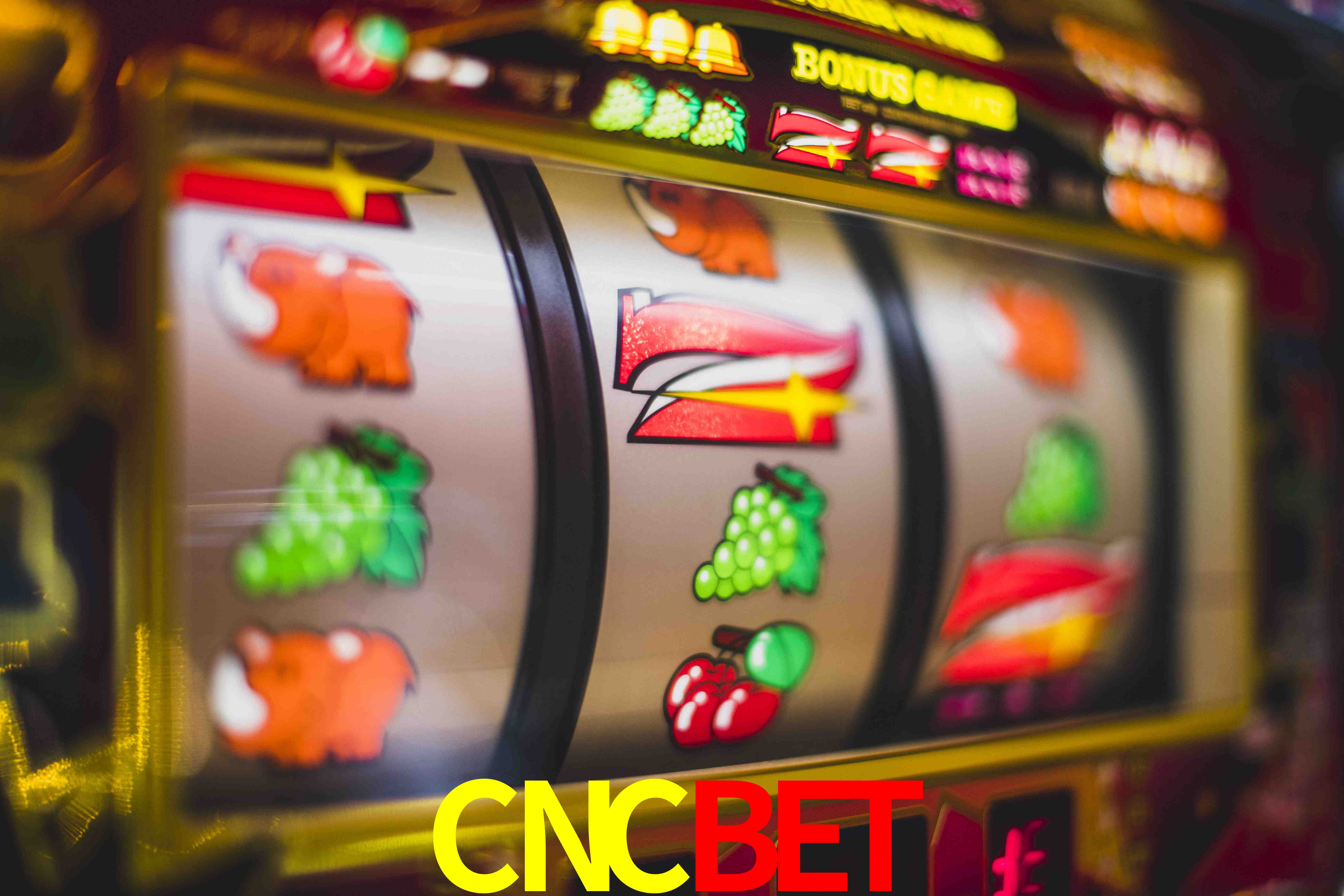 Crash Games Statistics CNCBET